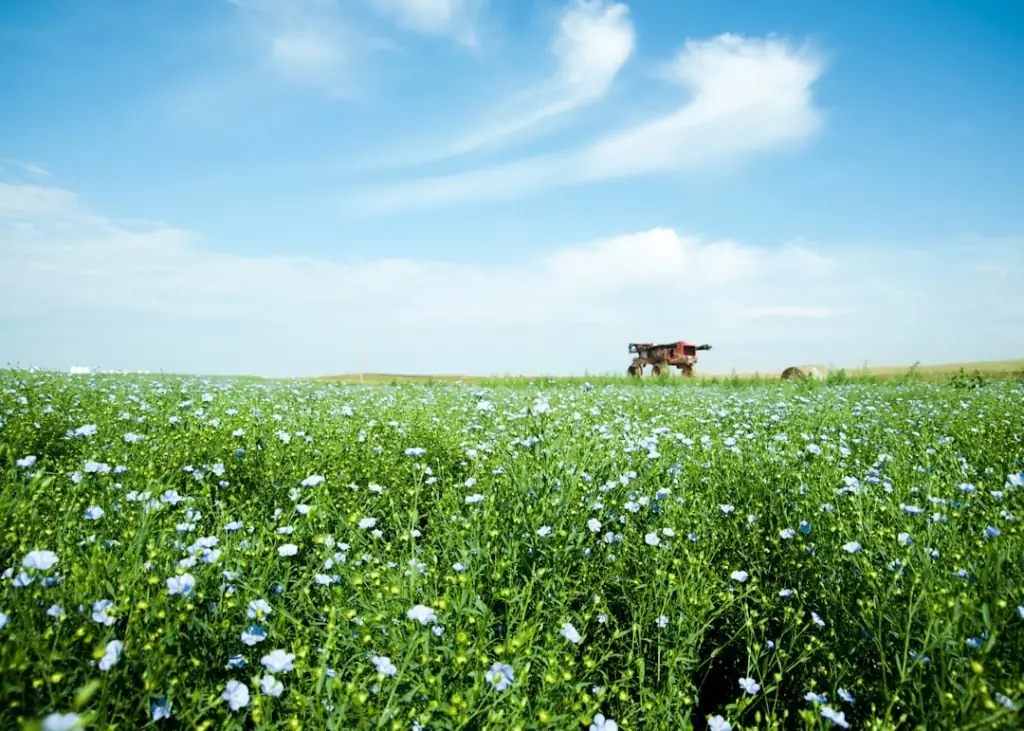 武汉鲜花花束保鲜技术要点及配送质量管控方案正文配图 2